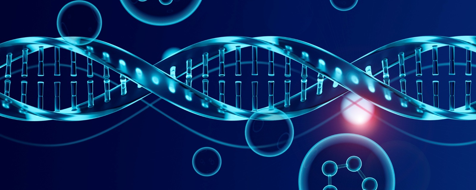 Regenerative Medicine
